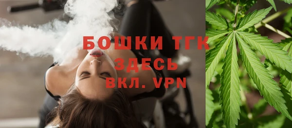 индика Лиски