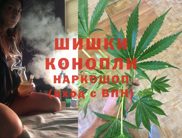 индика Лиски