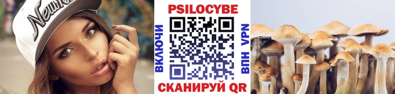 Галлюциногенные грибы Cubensis  Купить закладки  Ипатово 